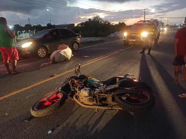 Motociclista perde a vida após bater em cavalo na SE-100