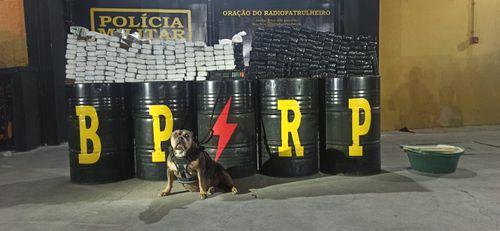Mais de 200 kg de maconha são apreendidos em casa alugada
