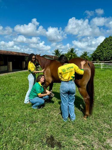 Senar Sergipe abre 270 vagas para formação profissional no agro; inscrições já estão liberadas