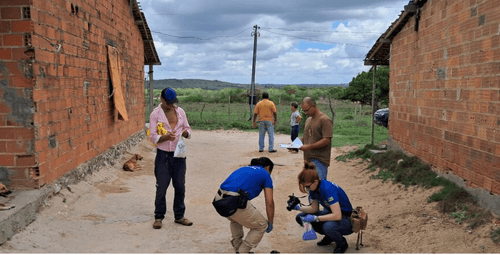 Dois cães são encontrados mortos com suspeita de envenenamento em Itabaiana