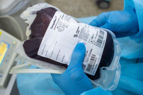 Hemose convoca doadores O negativo: veja como e onde doar